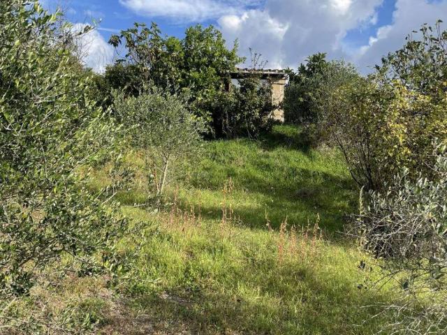 Rustico in vendita a Arlena Di Castro, Lazio