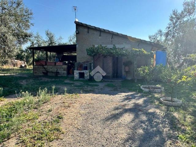 Rustico in vendita a Arlena di Castro, Viterbo