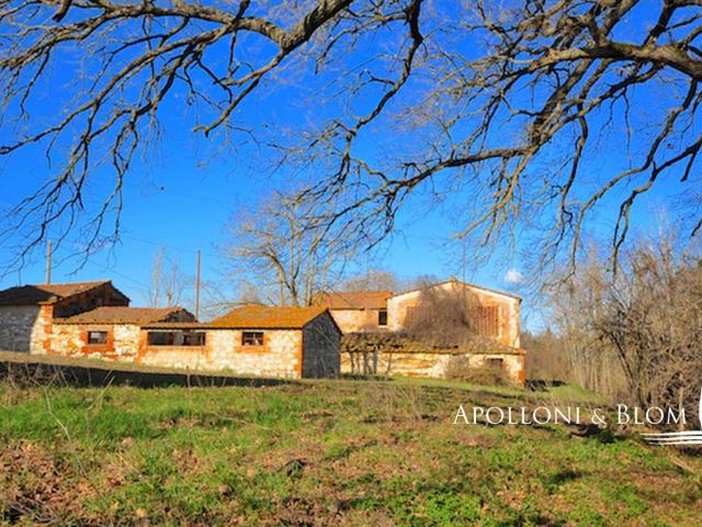 Rustico in vendita a Asciano, Toscana
