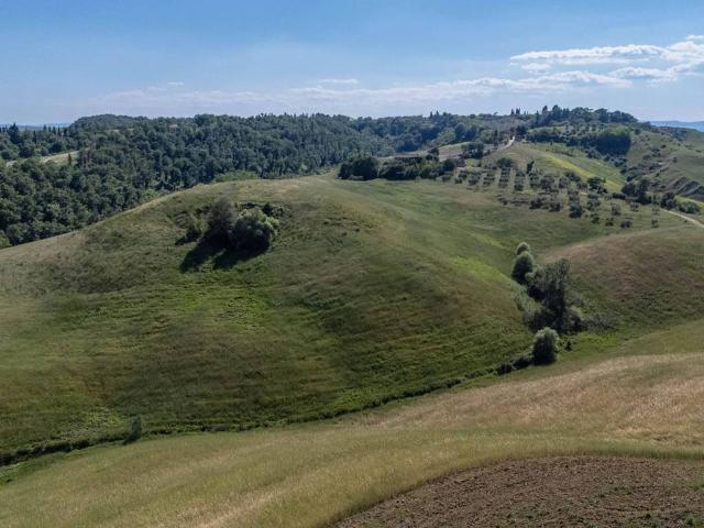 Rustico in vendita a Asciano
