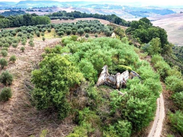 Rustico in vendita a Asciano, Toscana