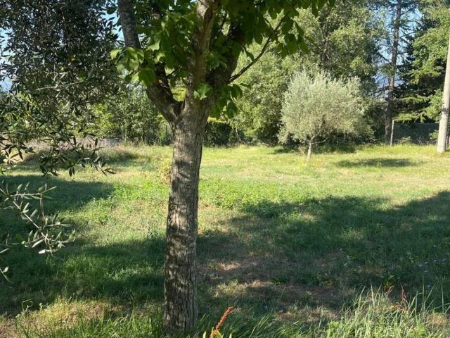 Rustico in vendita a Assisi, Umbria