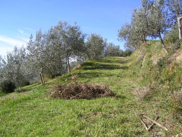 Rustico in vendita a Col d'Erba III, Assisi
