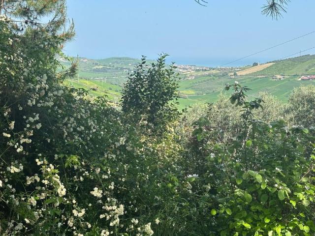 Rustico in vendita a Atri, Abruzzo