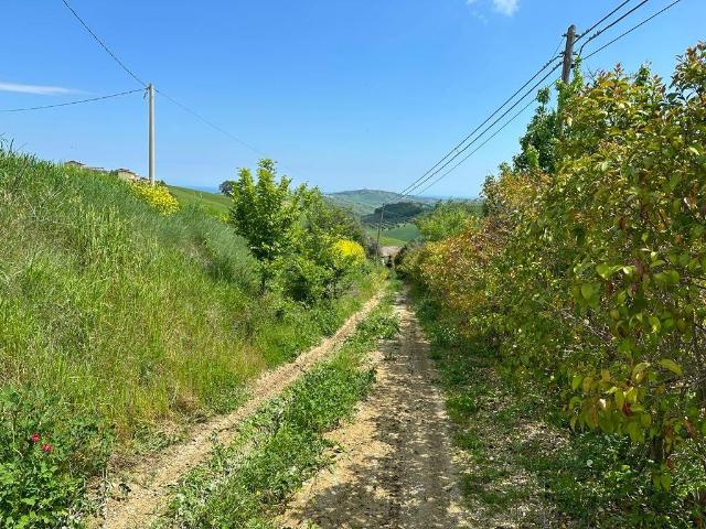 Rustico in vendita a Atri, Abruzzo