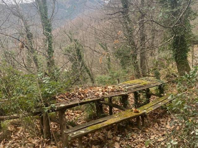 Rustico in vendita a Avegno