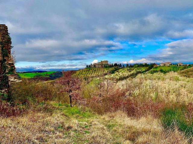 Rustico in vendita a Montecastrilli, Umbria
