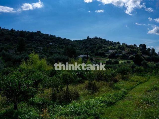 Rustico in vendita a Avola, Sicilia