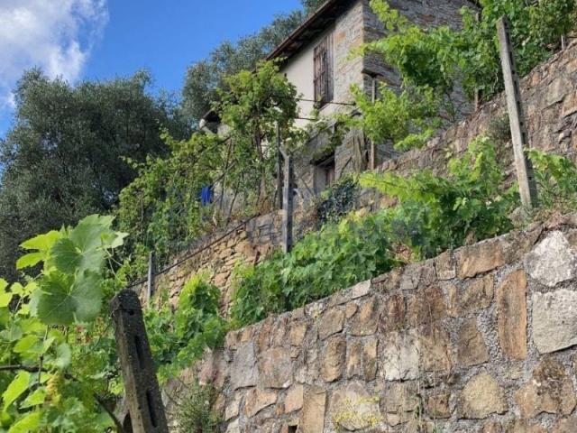 Rustico in vendita a Badalucco, Liguria