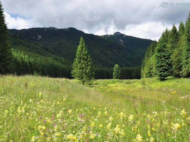 Rustico in vendita a Pedraces - Pedratsches, Badia - Abtei