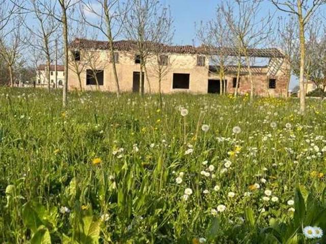Rustico in vendita a Badia Polesine, Veneto