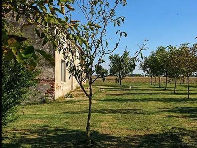 Rustico in vendita a Badia Polesine, Veneto