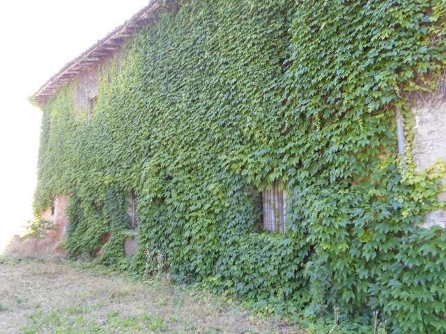 Rustico in vendita a Terra di Mezzo, Re