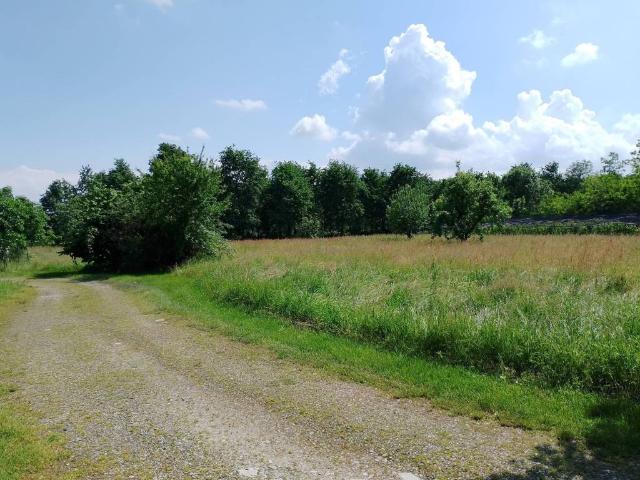 Rustico in vendita a Piemonte, Cuneo