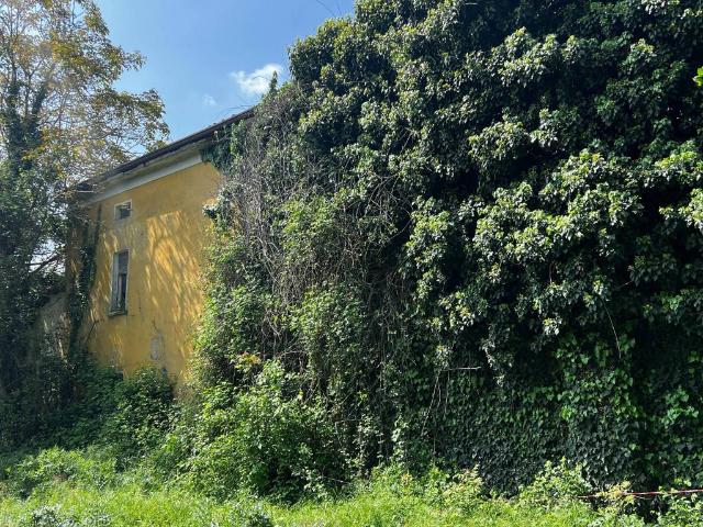 Rustico in vendita a San Biagio, Bagnolo San Vito