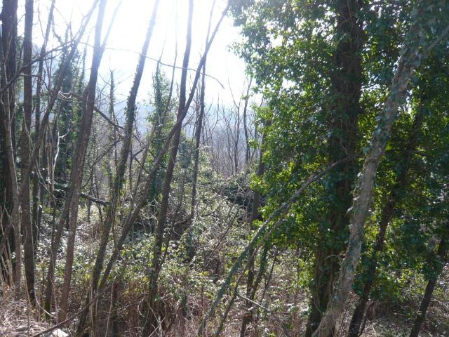 Rustico in vendita a Unione di comuni Montana Lunigiana, Bagnone