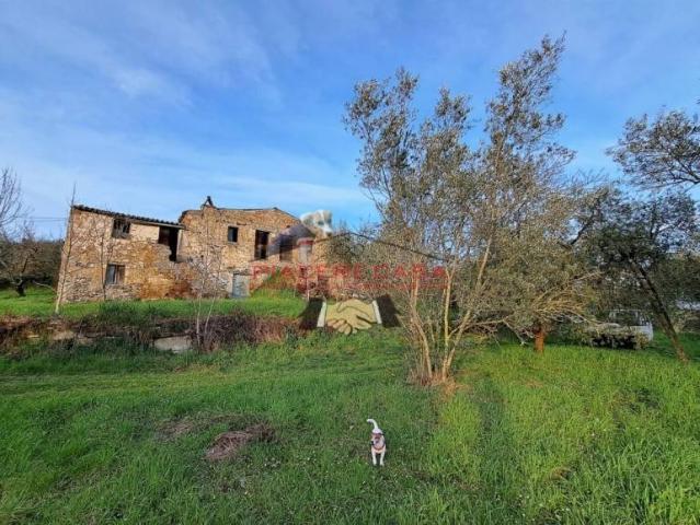 Rustico in vendita a Bagnoregio, Lazio