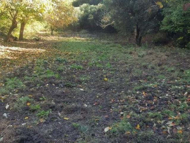 Rustico in vendita a Baone, Veneto