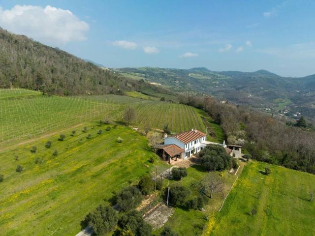 Rustico in vendita a Baone, Veneto
