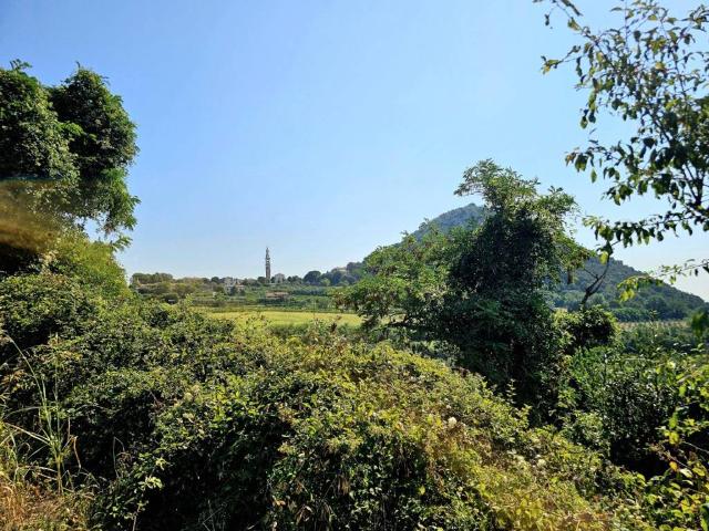 Rustico in vendita a Baone, Veneto