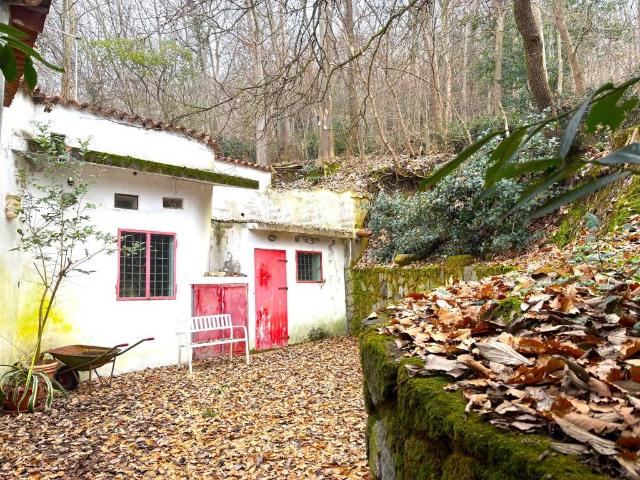 Rustico in vendita a Baone, Veneto