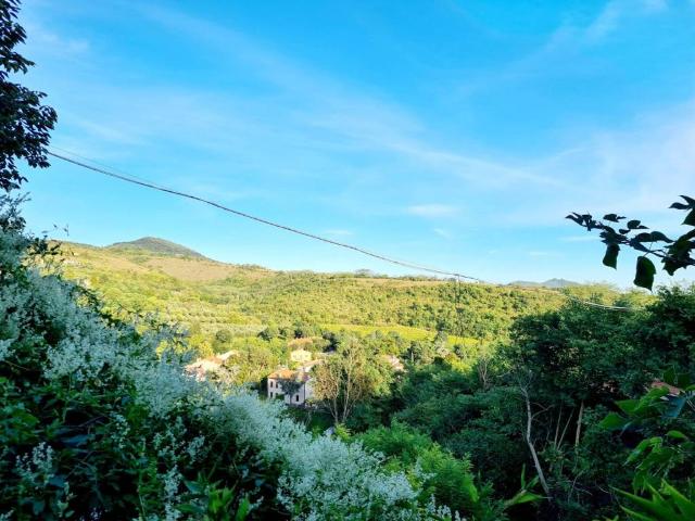 Rustico in vendita a Baone, Veneto