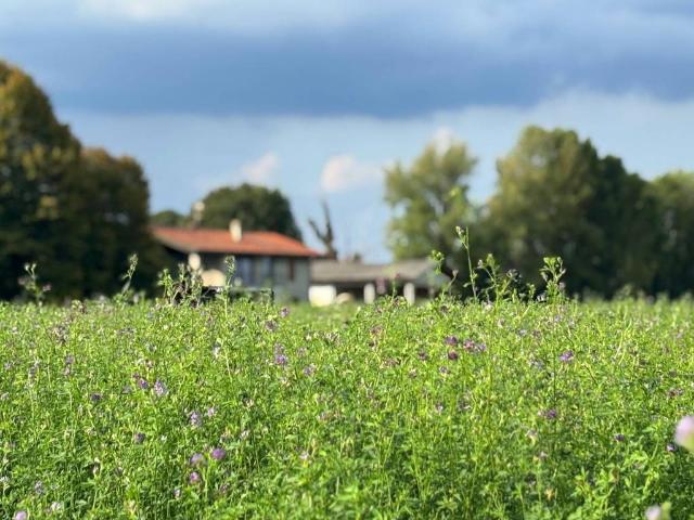 Rustico in vendita a Bareggio, Lombardia