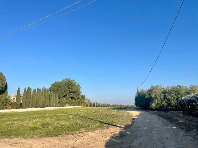 Rustico in vendita a Puglia, Barletta-andria-trani