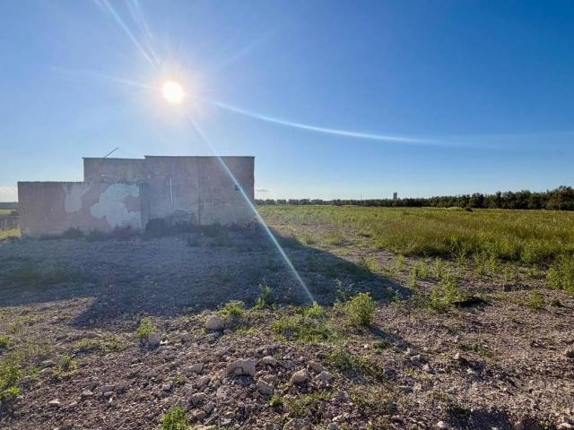 Rustico in vendita a Puglia, Barletta-andria-trani