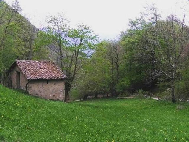 Rustico in vendita a Campiano, Barzio