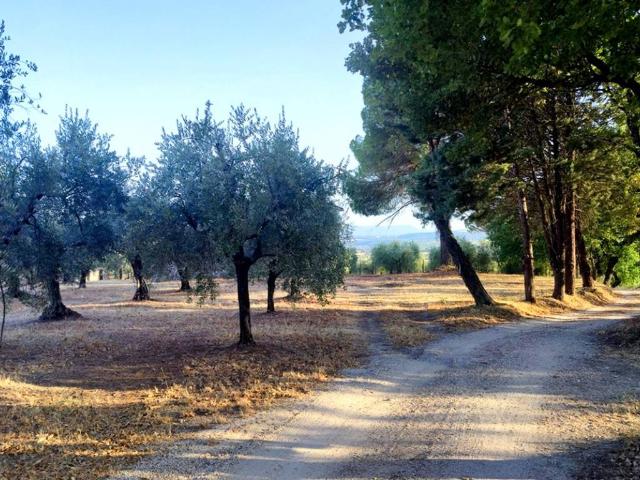 Rustico in vendita a Baschi, Umbria