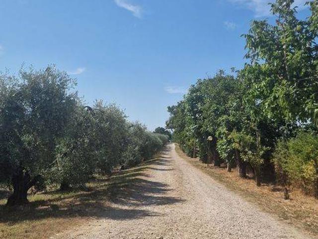 Rustico in vendita a Baschi, Umbria