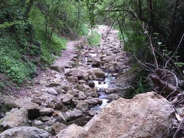 Rustico in vendita a San Michele, Bassano Del Grappa