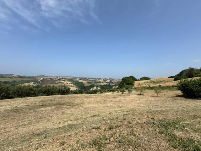 Rustico in vendita a Bellante, Abruzzo