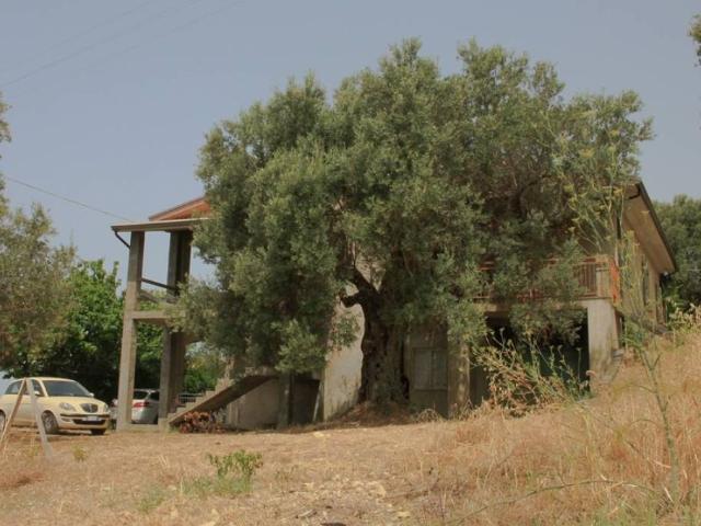 Rustico in vendita a Calabria, Cosenza