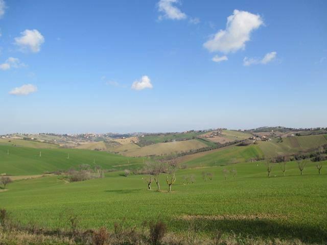 Rustico in vendita a Marche, Ancona