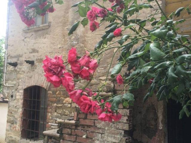 Rustico in vendita a Bettola, Reggio Emilia
