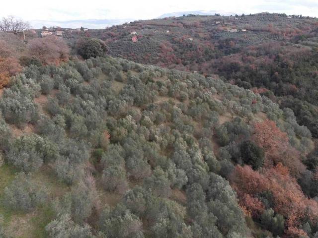 Rustico in vendita a Bettona, Umbria