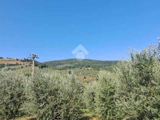 Rustico in vendita a Bevagna, Umbria