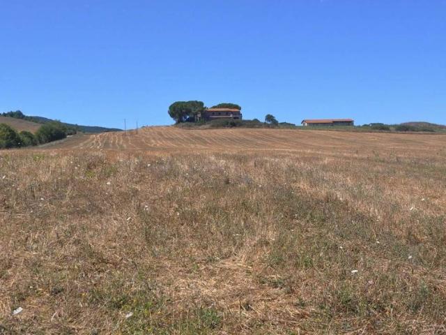 Rustico in vendita a Bibbona, Toscana