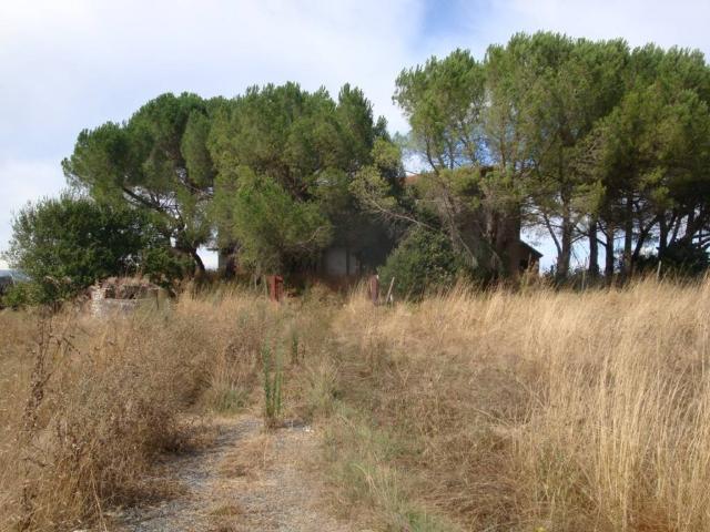 Rustico in vendita a Bibbona, Livorno
