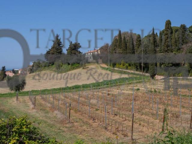Rustico in vendita a Bibbona, Toscana