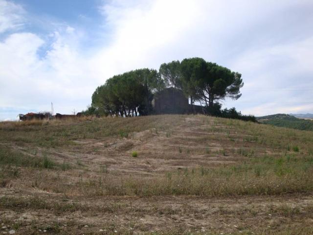 Rustico in vendita a Bibbona, Toscana