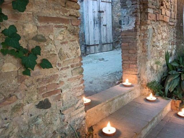 Rustico in vendita a Bibbona, Toscana