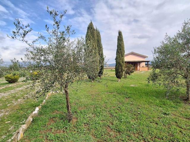 Rustico in vendita a Bibbona, Toscana