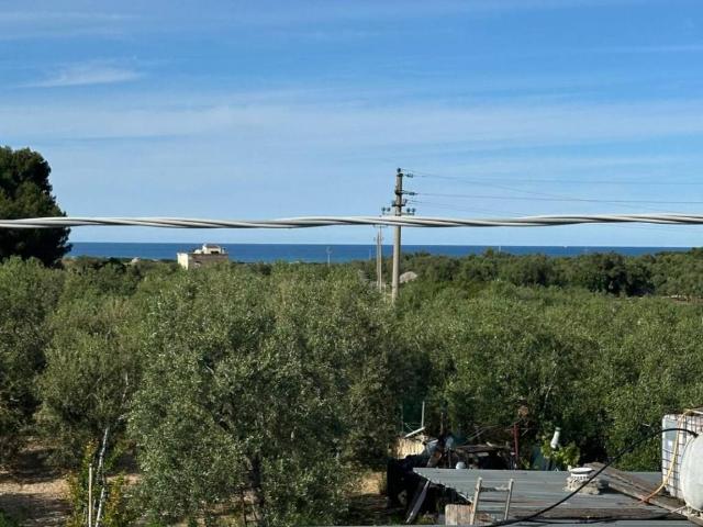 Rustico in vendita a Puglia, Barletta-andria-trani