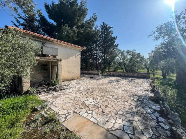 Rustico in vendita a Puglia, Bari