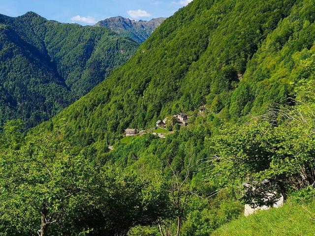 Rustico in vendita a Piemonte, Vercelli