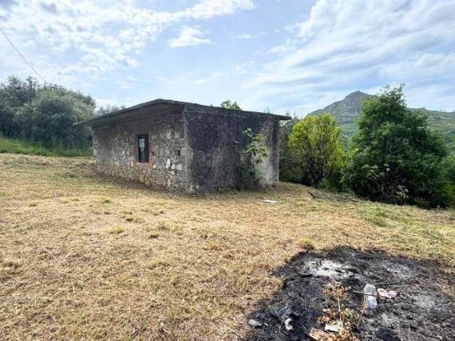 Rustico in vendita a Calabria, Cosenza