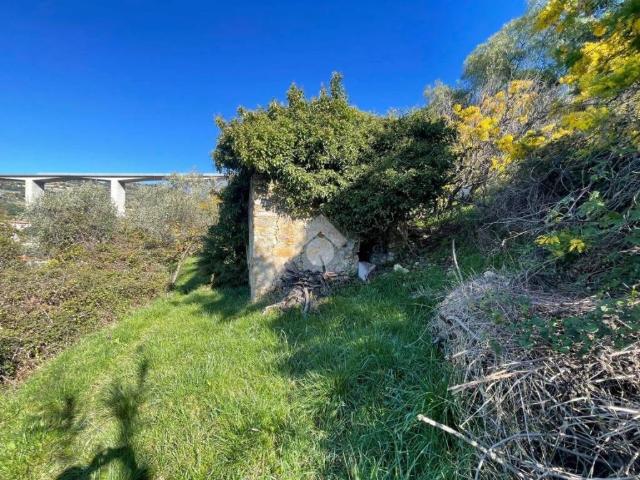 Rustico in vendita a Bordighera, Liguria